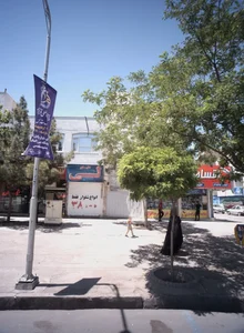 دنیای لی