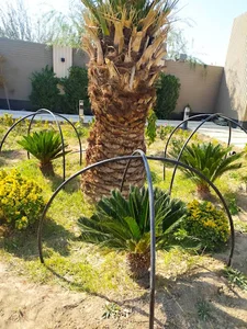 باغبانی سیار اصفهان