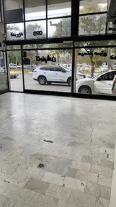 caroption