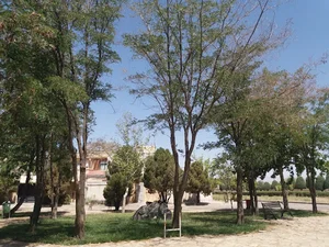 سبزه‌زار سنگی