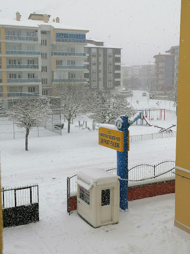 Şefkat Evleri