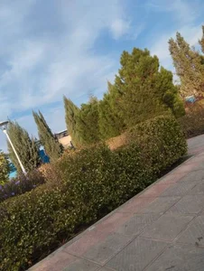 بوستان بانوان 4