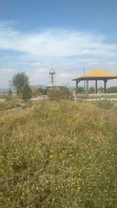 بوستان لاله سوران