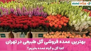 Negin Greenhouse گلخانه نگين(مهدوي)