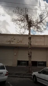گالری آرمیک 2