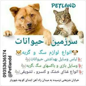 سرزمین حیوانات