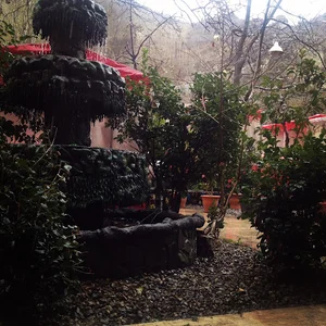 رستوران آبشار