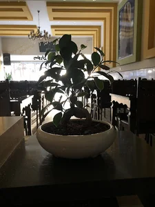 بفرمایید صبحانه
