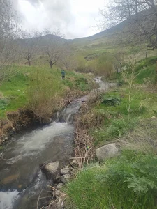 منطقه کوربلاغ