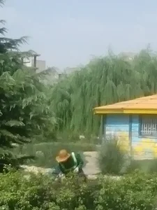 فروشگاه بامبو