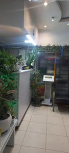 اشپزخانه پدرسالار 3