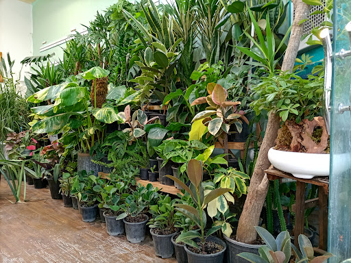 گل‌خونه کافه گلدون