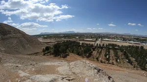 پارک جنگلی
