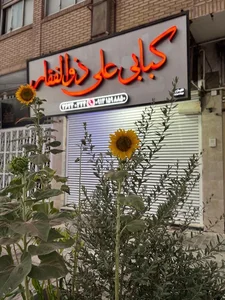 کبابی علی ذوالفقار 4
