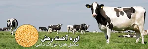 اوره دامی(نیتروپارس)اوره کند رهش,اوره آهسته رهش
