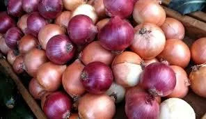 سوپر میوه گشتی 2