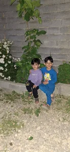 باغبان