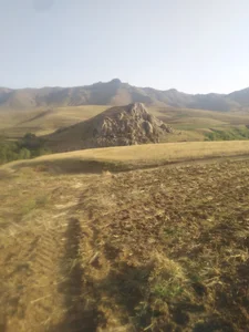 مزرعه مومنی