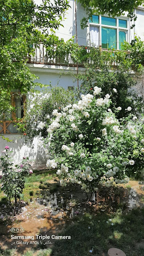 خانه استاد رحمانی