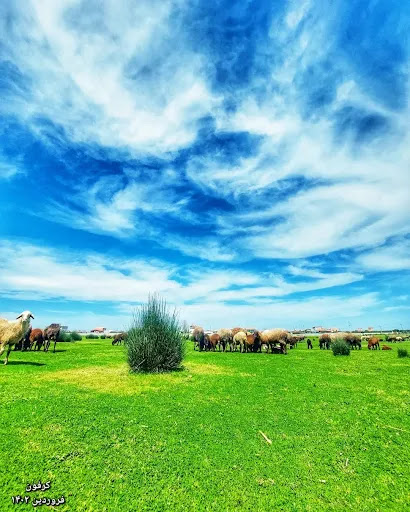 تفریحگاه ساحلی کرفون