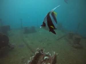 Al Munassir Wreck