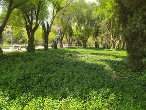پارک آبی بوستان سعدی