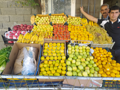 Fresh fruit and vegetables shaker salahian