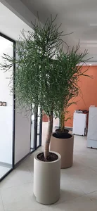 گلخانه باغچه ما
