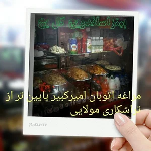 پیتزا سانویج گل یخ