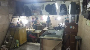 کفش پاپا صادقی