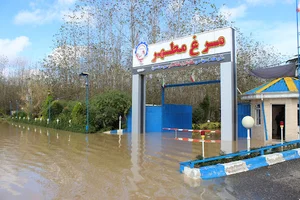 شرکت سهامی گیلان کشتار صومعه‌سرا - مرغ مطهر
