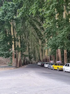 یان چشمه زاینده رود