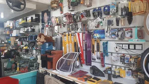 تزئینات اتومبیل طاوسی