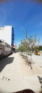 Jamshid sapi property