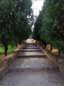 پارک امام رضا 4