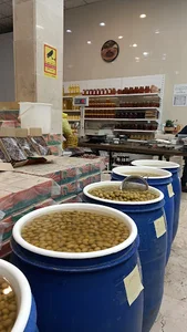 خرما و زیتون فرقانی