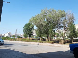 پارک بوستان