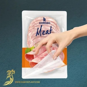 هادی