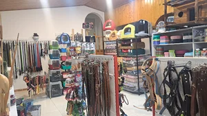 بیمارستان دامپزشکی دکتر نعیمی