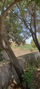 نیشابور خیابان ساحل