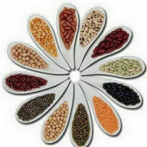 محصولات بسته بندی امیر(قدسی)