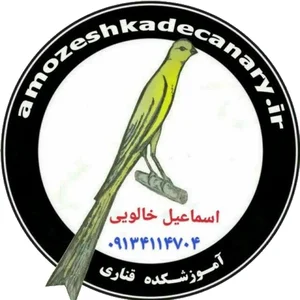 پرنده فروشی خالویی