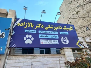 دکتر روزبه علی بالازاده