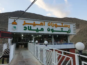 زیتون سرای میلاد