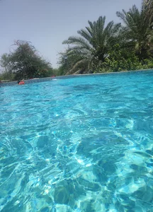 باغ علیایی