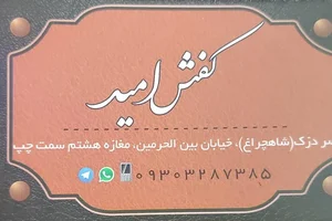 کفش امید 2