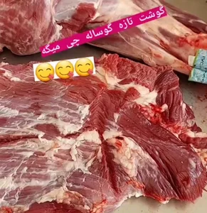 پروتئینی بهنام