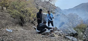 تنگه ارغوان