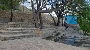 برده رش
