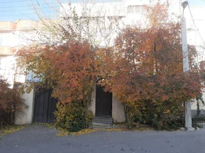 موسسه ی آموزشی صادق نمین